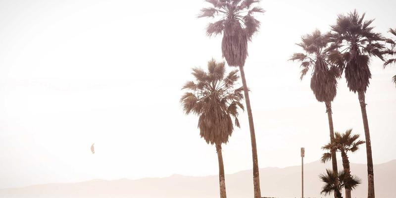 B2B创意内容营销的破局之道：从“毒皮物123”到“生活发现”的设计灵感