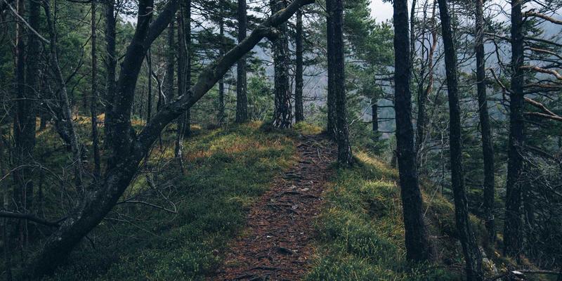 互动叙事：用游戏化思维点燃设计灵感，发现生活趣味