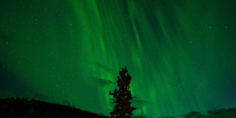 从设计灵感与生活发现到品牌独白：创意内容如何塑造“毒皮物123”式的品牌个性