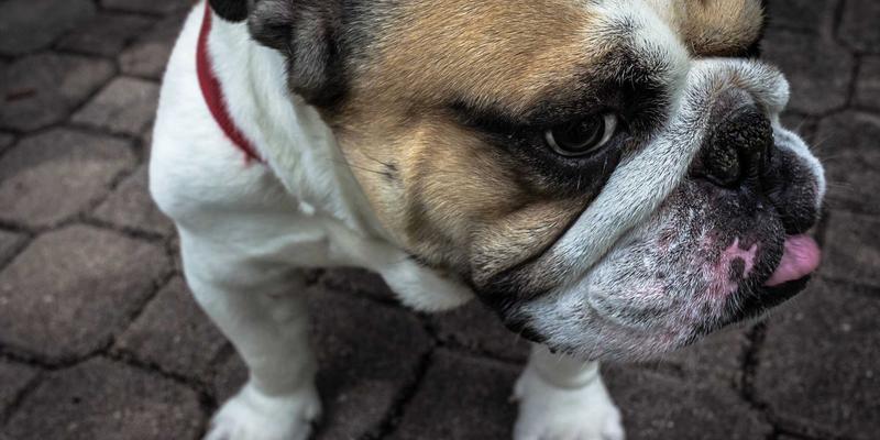 创意内容21：解锁设计灵感的趣味分享与实用指南