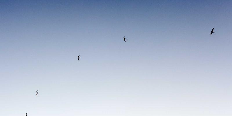 创意内容34：从毒皮物123中汲取设计灵感，打造独特视觉冲击