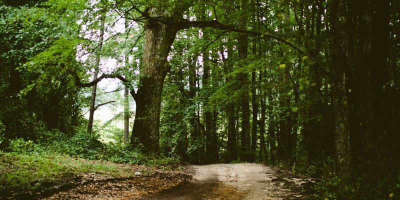 创意内容94：从趣味分享中捕捉生活发现与设计灵感