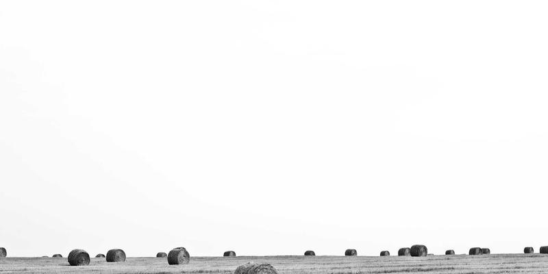 创意内容与神经美学：如何设计触发多巴胺分泌的感官体验 | 趣味分享与设计灵感