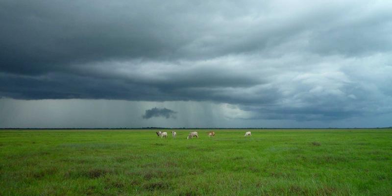 创意内容创作全攻略:从生活发现到设计灵感的魔法转化