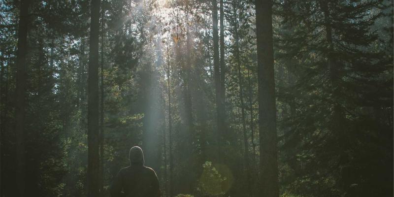 创意内容如何引爆Z世代：从生活发现到毒皮物123的圈层密码