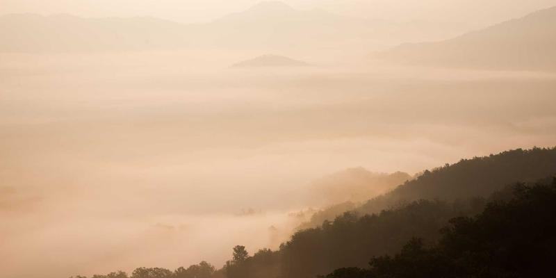 创意内容最佳实践：从设计灵感到‘毒皮物123’的破局之道