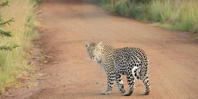创意内容的数据化评估：超越流量，用生活发现与设计灵感衡量情感共鸣与品牌健康度