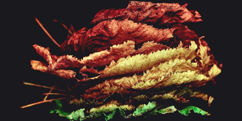 创意内容的风险管理：在生活发现与趣味分享中把握文化敏感与伦理边界