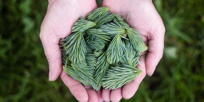 创意内容进阶:从设计灵感到毒皮物123的深度探索