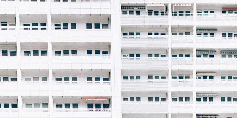 向自然借智慧：生物模仿学如何激发创意内容与设计灵感