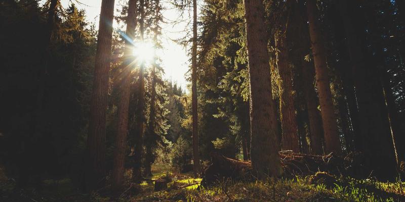 毒皮物123与趣味分享：创意内容的破圈密码