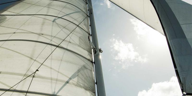 毒皮物123:藏在日常里的趣味发现与创意分享