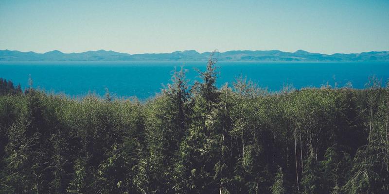 短视频时代创意内容制作指南：从毒皮物123到生活发现的灵感密码