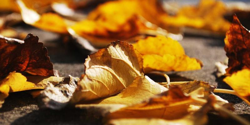 神经科学揭秘：如何从生活发现中汲取设计灵感，打造令人过目不忘的趣味分享