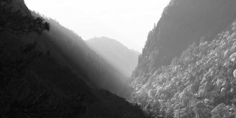 设计灵感新维度：用AR/VR打造趣味分享与创意内容的沉浸式体验