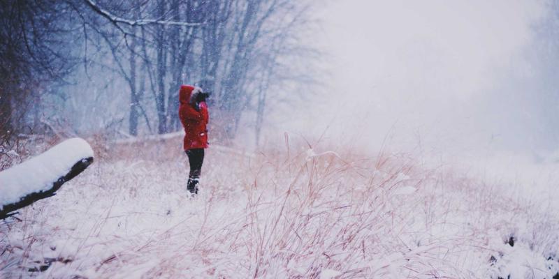 趣味分享：从传统符号到设计灵感，发现生活中的文化新生